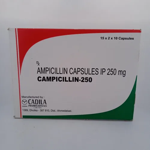 CAMPICILLIN 250 MG - 10 CAPSULES