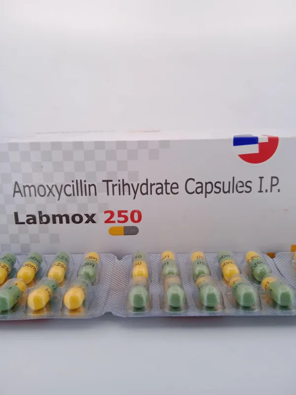 LABMOX 250 MG - 10 CAPSULES - Image 2